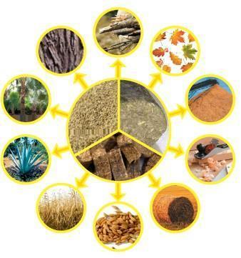 生物质能源 推动燃煤替代与能源转型的核心力量