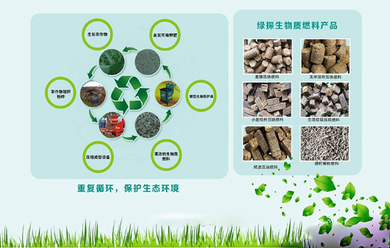 生态优势与低碳经济 生物质颗粒引领绿色能源革命