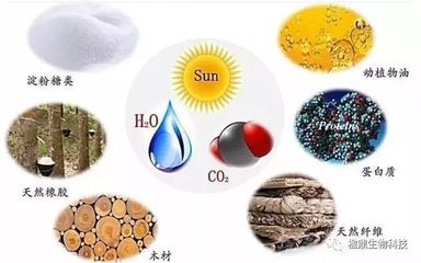 楹鼎掌握ESⅢ集成生物炼制技术背后的秘密——生物质能源的新时代