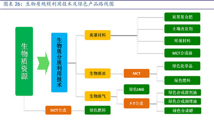 三聚环保 能源与环保的交汇明珠，生物质能源产品前景广阔