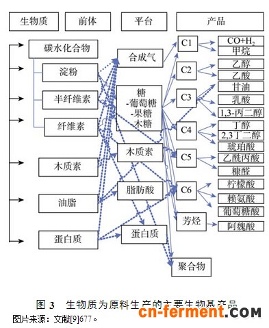 生物质产业关键技术突破与产业前景_化工_行业综述_资讯_中国发酵工业网