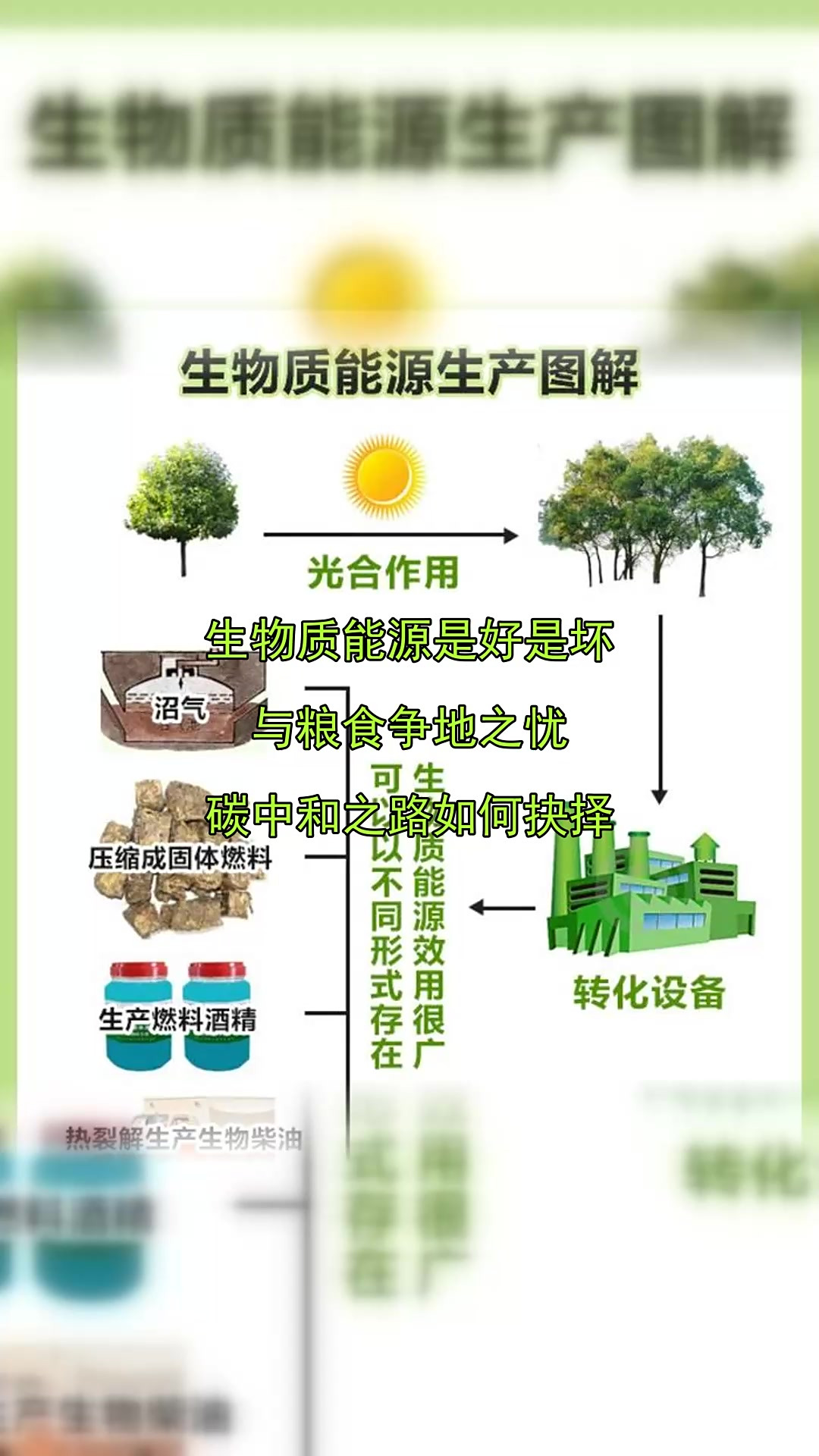 生物质能源是好是坏,与粮食争地之忧,碳中和之路如何抉择
